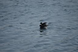 dsc_1668.jpg