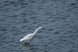 dsc_1669.jpg