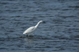 dsc_1670.jpg