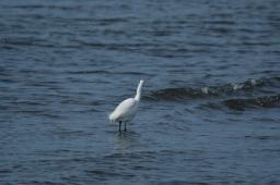 dsc_1672.jpg