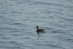 dsc_1674.jpg