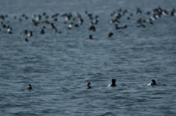 dsc_1677.jpg