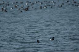 dsc_1678.jpg