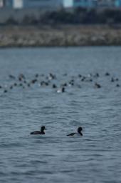 dsc_1682.jpg