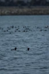 dsc_1683.jpg