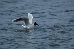 dsc_1697.jpg