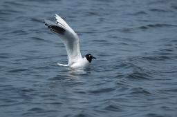 dsc_1698.jpg