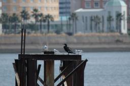 dsc_1713.jpg