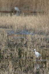 dsc_1719.jpg