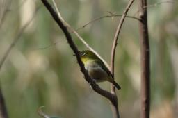 dsc_1770.jpg