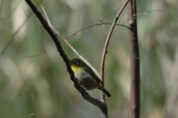 dsc_1771.jpg