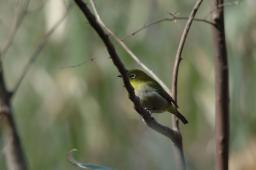 dsc_1772.jpg