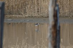 dsc_1774.jpg