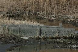 dsc_1777.jpg
