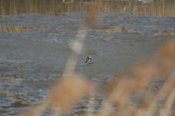 dsc_1780.jpg