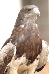 dsc_1875.jpg