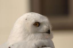 dsc_1896.jpg