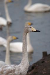 dsc_1961.jpg