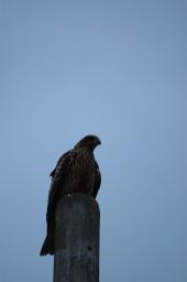 dsc_2024.jpg