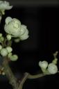 dsc_1639.jpg