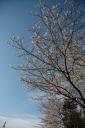 dsc_2071.jpg