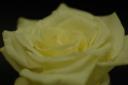 dsc_2472.jpg