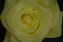 dsc_2473.jpg