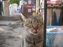 aut_0398.jpg