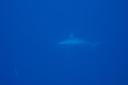 dsc_5416.jpg