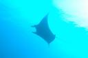 dsc_6178.jpg