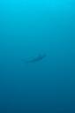 dsc_6224.jpg