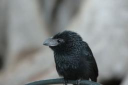 dsc_8054.jpg