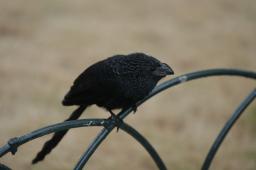 dsc_8086.jpg