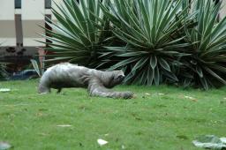 dsc_8097.jpg
