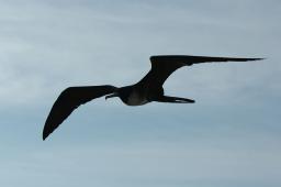 dsc_8155.jpg