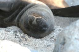 dsc_8159.jpg