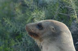 dsc_8162.jpg