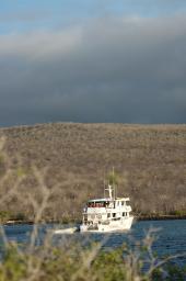 dsc_8183.jpg
