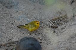 dsc_8203.jpg