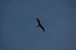 dsc_8205.jpg