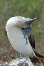 dsc_8279.jpg
