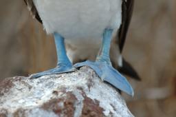 dsc_8280.jpg