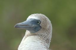 dsc_8281.jpg
