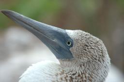 dsc_8282.jpg