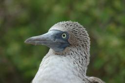 dsc_8303.jpg