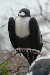dsc_8307.jpg