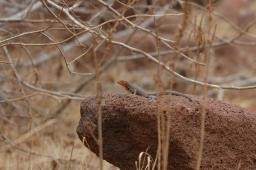 dsc_8328.jpg