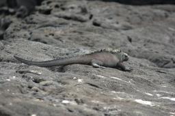 dsc_8368.jpg