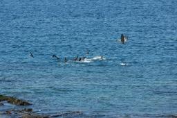 dsc_8423.jpg