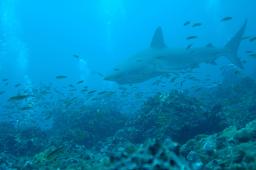 dsc_8543.jpg